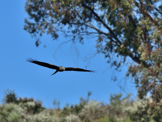 Donnerstag mit Durchblick, insight, perspectiva 