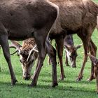 Donnerstag mit Durchblick - Jeudi avec l'echappée