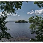 Donnerstag mit Durchblick - kleines Eiland im Lough Leane