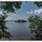 Donnerstag mit Durchblick - kleines Eiland im Lough Leane