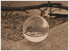 Donnerstag mit Durchblick- Silbersee mit Lensball