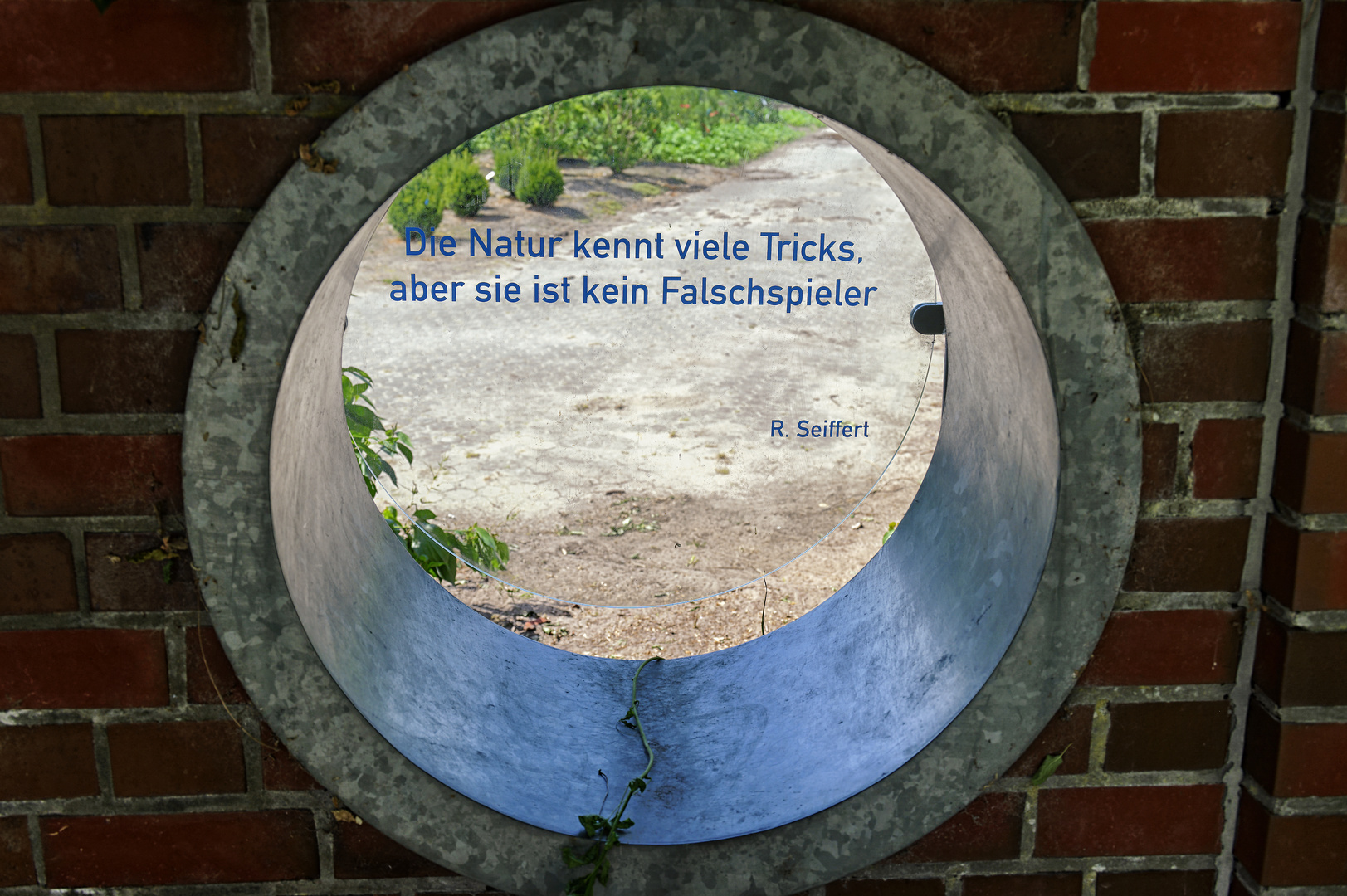 Donnerstag mit Durchblick - Spruch