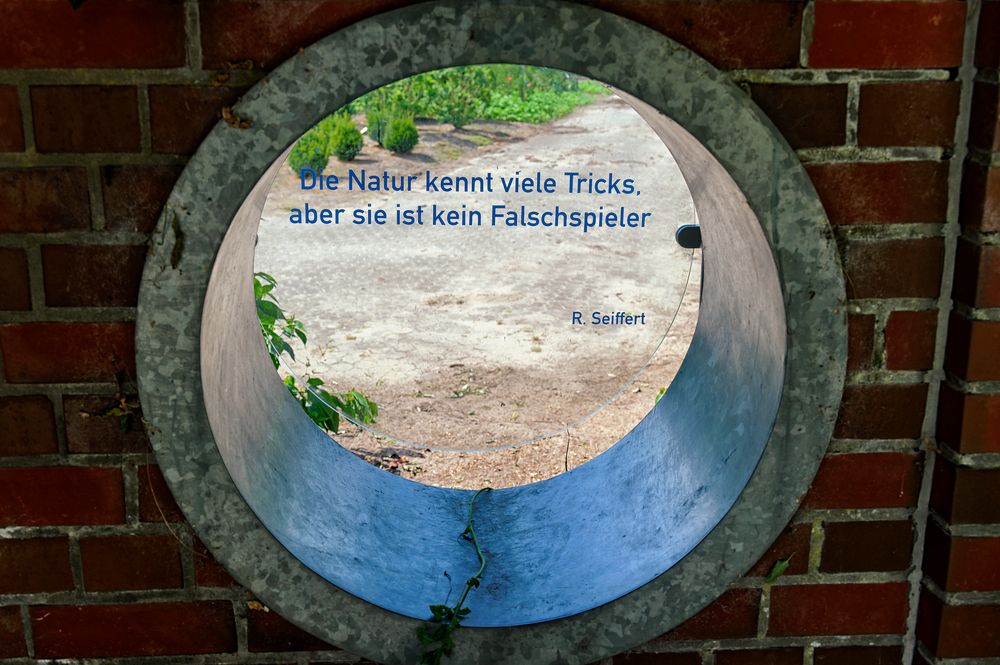 Donnerstag mit Durchblick Spruch Foto & Bild projekte, donnerstag
