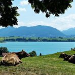 Donnerstag mit Durchblick und Donnerstag-Wasser