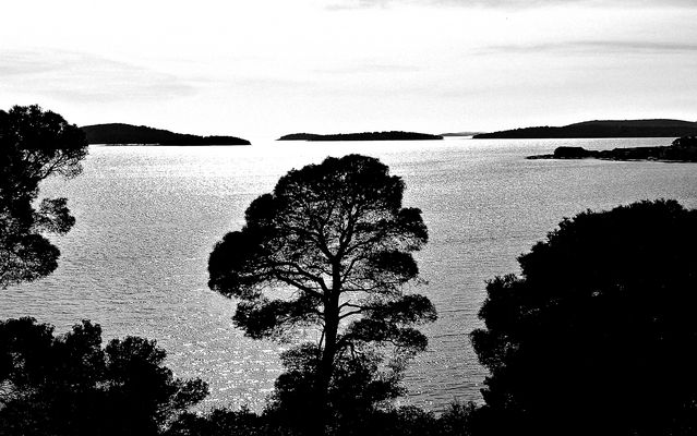 Donnerstag mit Durchblick und Donnerstag-Wasser und s/w Freitag in einem