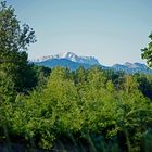 Donnerstag mit Durchblick - Zugspitze