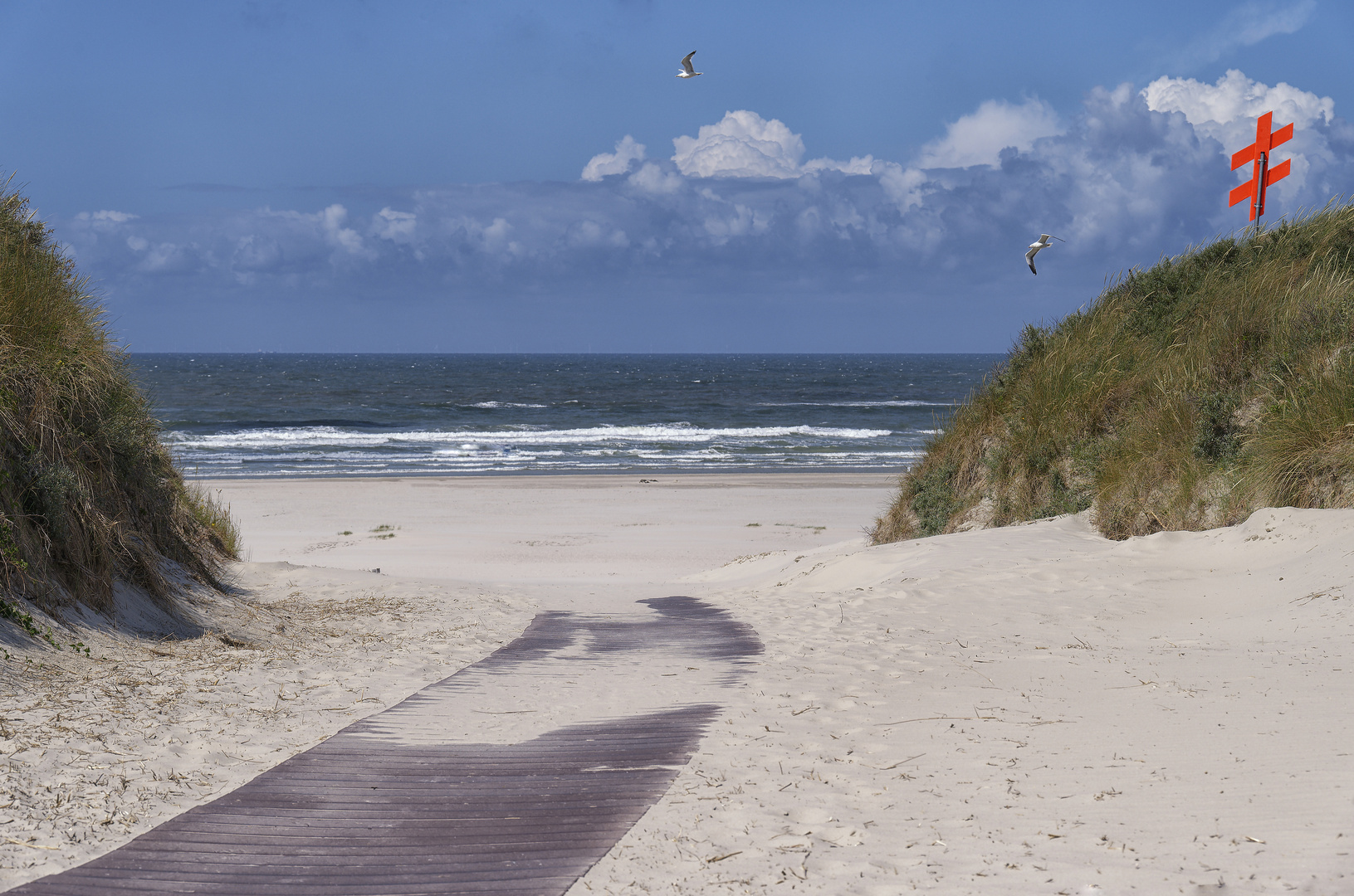 Donnerstag mit Durchblick - zum Meer