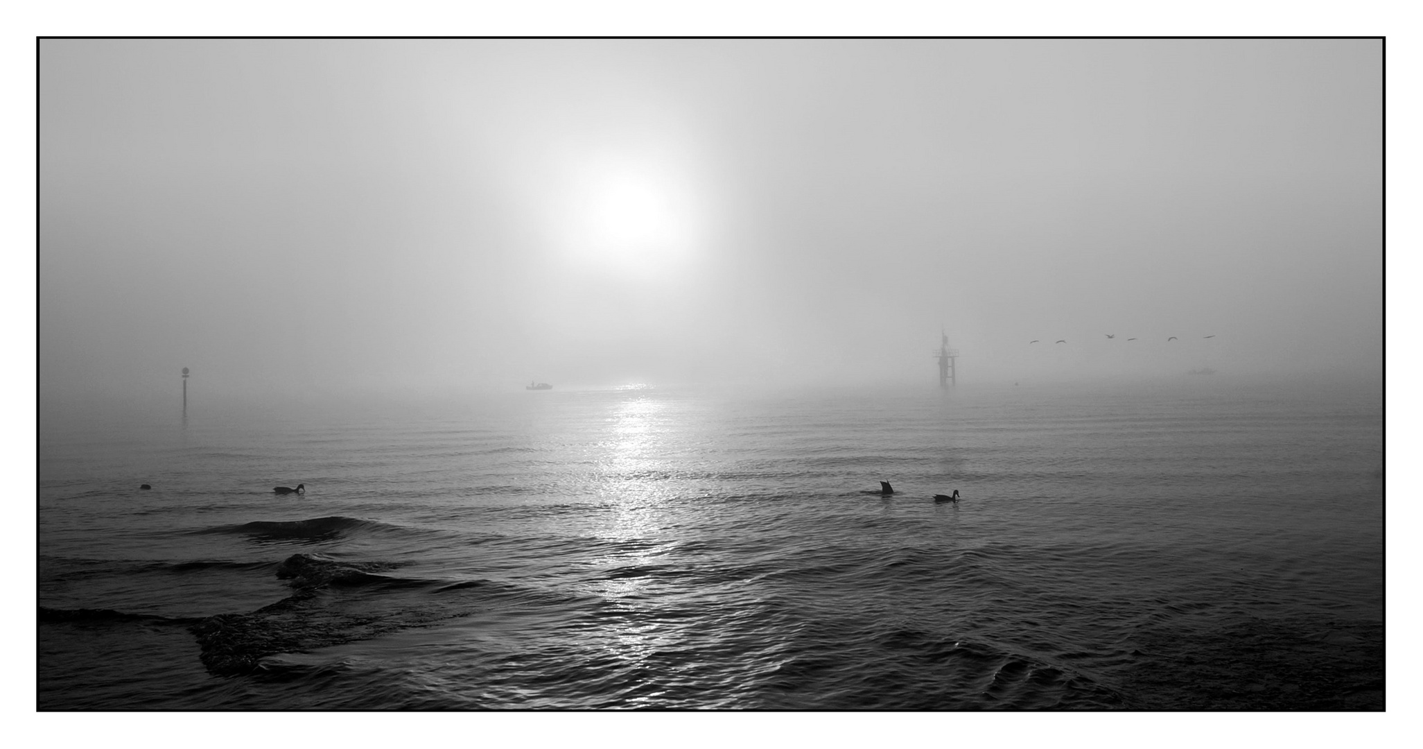 Donnerstag mit Durchblick...Morgenstimmung - Blindflug durch den Nebel