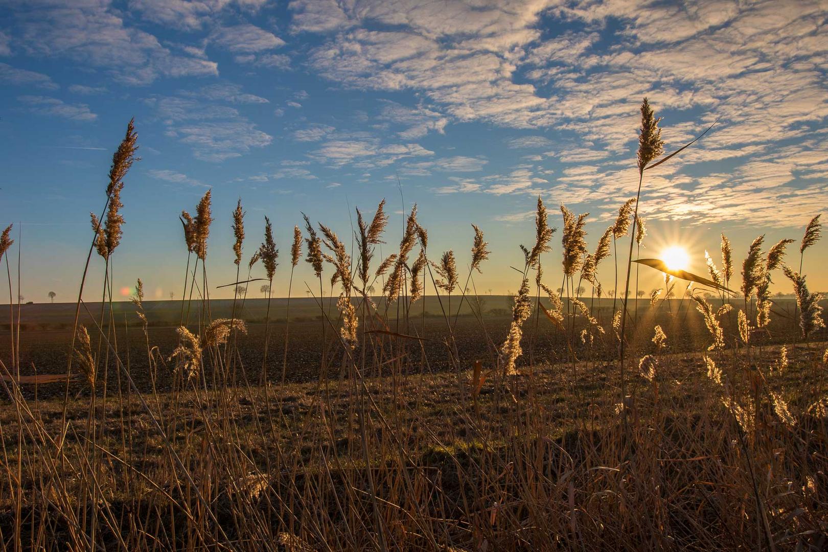 Einen schönen donnerstag nachmittag bild Kaffee mit Schaum