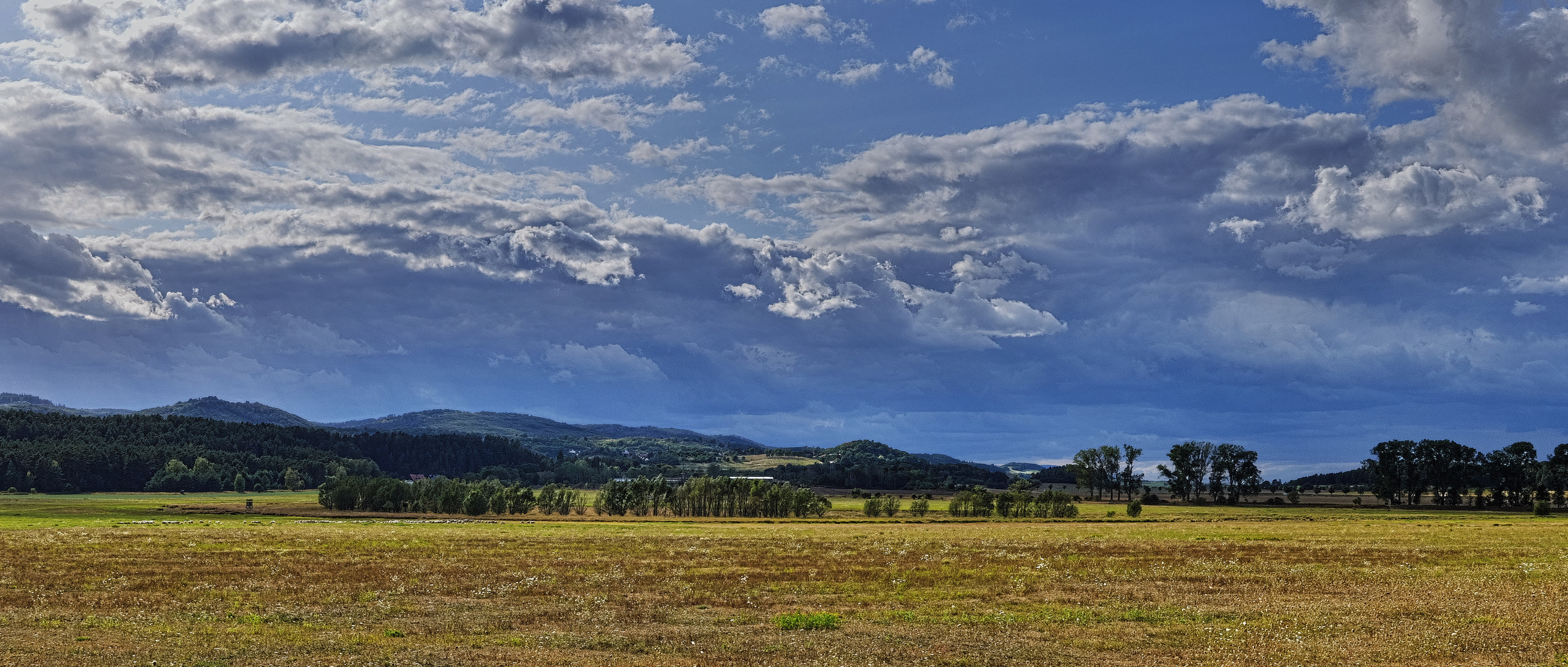 Donnerstag war Wolkentag