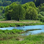 Donnerstag-Wasser