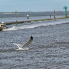 Donnerstag Wasser - Abflug