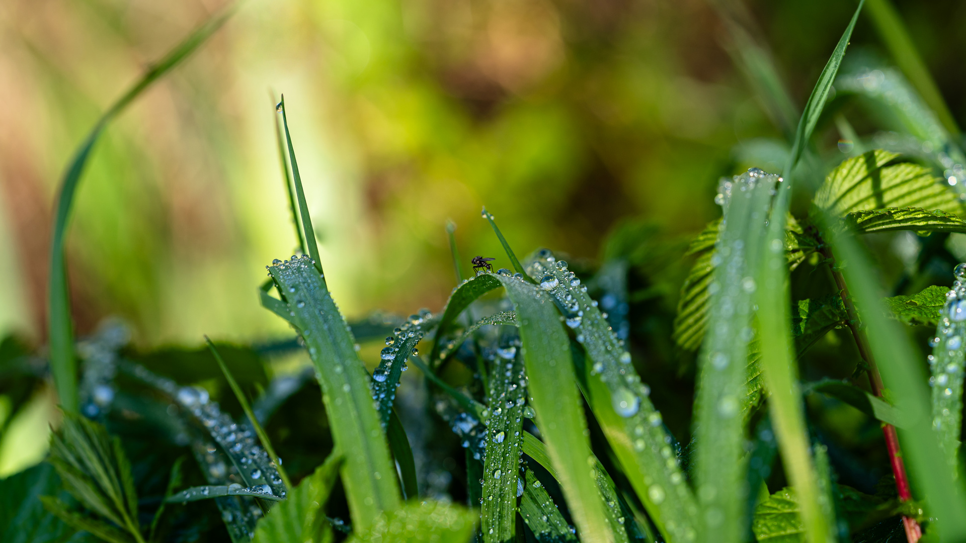 Donnerstag - Wasser