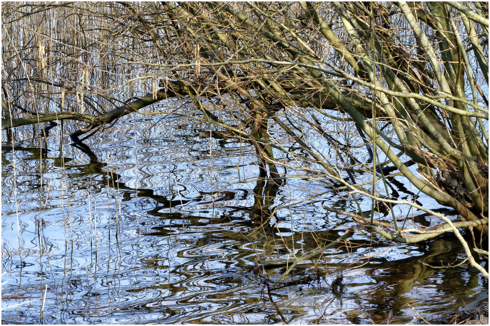 Donnerstag - Wasser,  in Bewegung