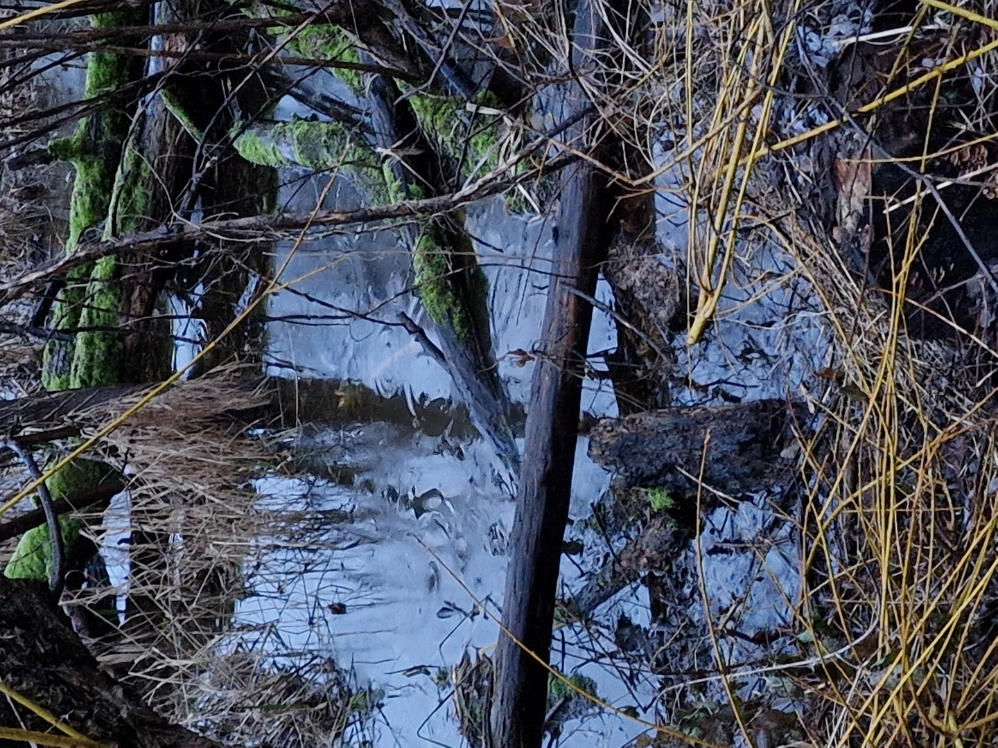 Donnerstag - Wasser - Regen