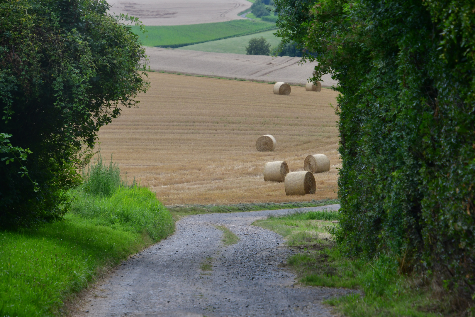 Donnerstagsdurchblick