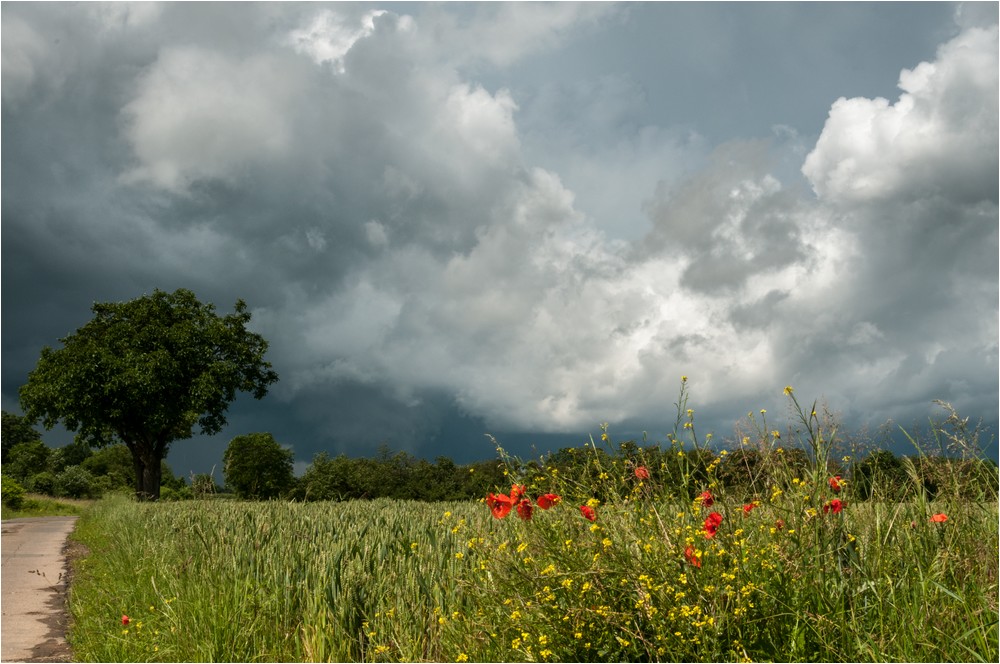 Donnerwetter