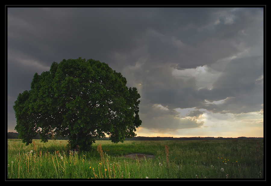 Donnerwetter