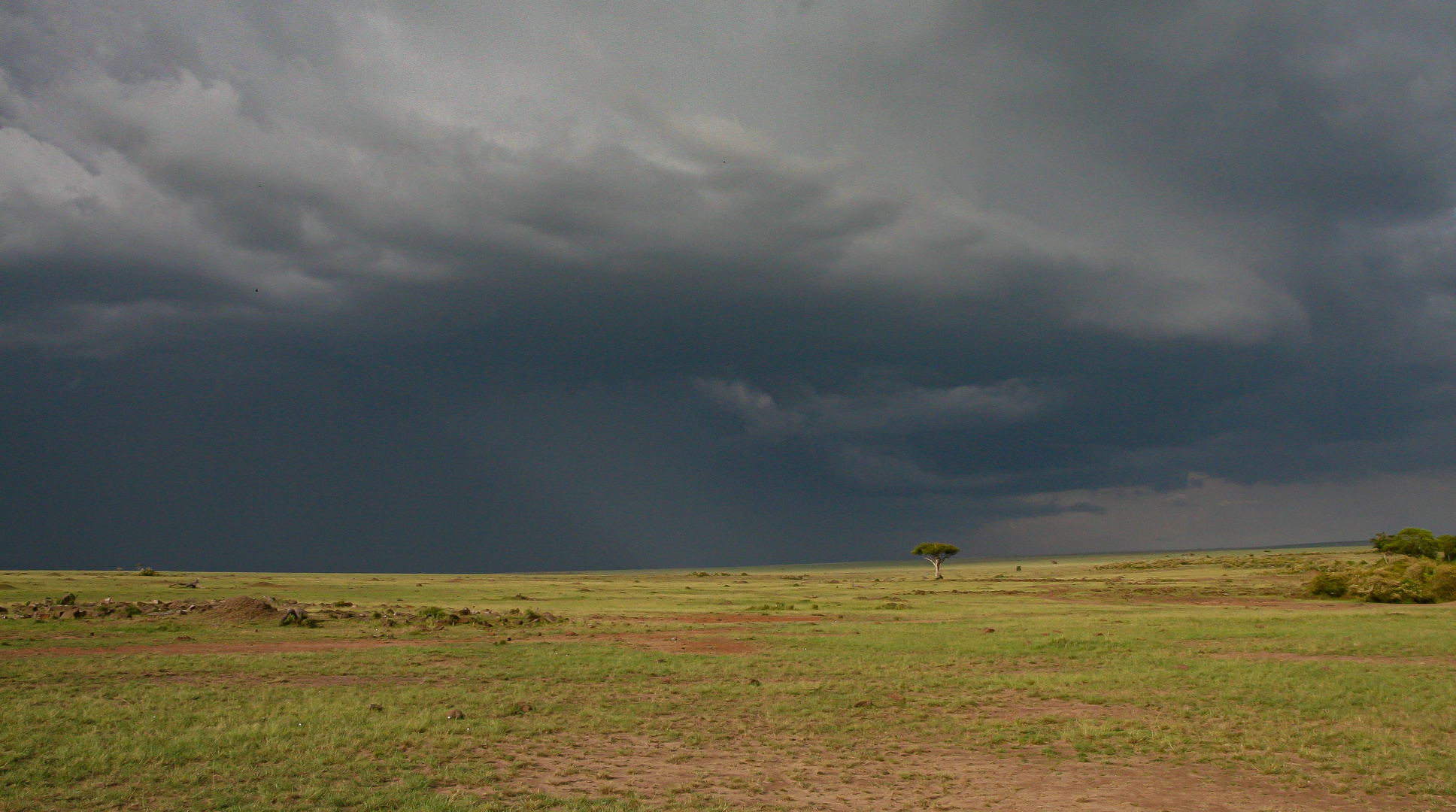 Donnerwetter!