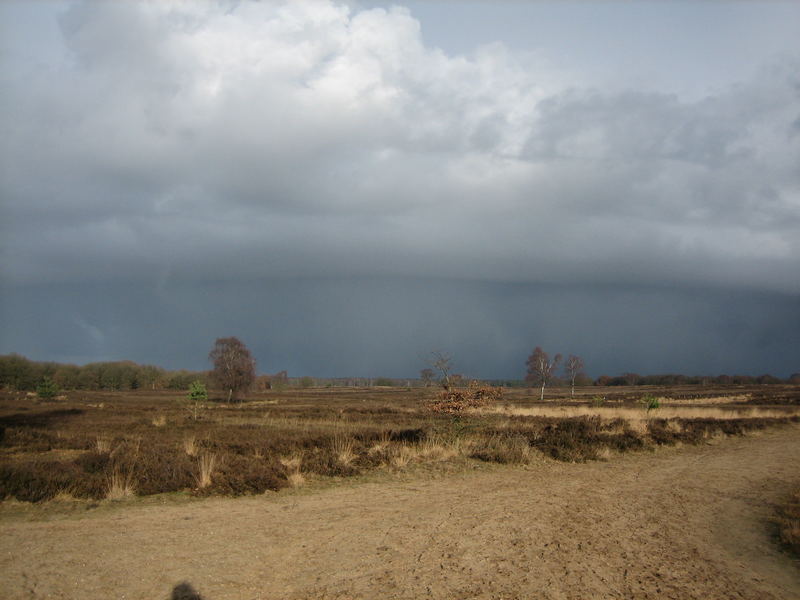 Donnerwetterheide