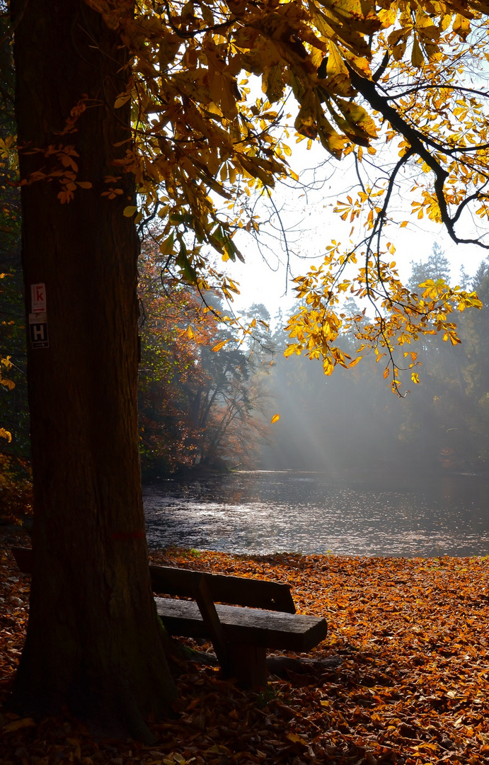 Donoper Teich im Herbst