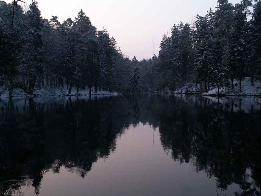 Donoperteich im Schnee 1 Foto & Bild deutschland, europe, nordrhein