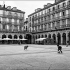 Donostia-San Sebastián 06.