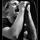 DONOTS