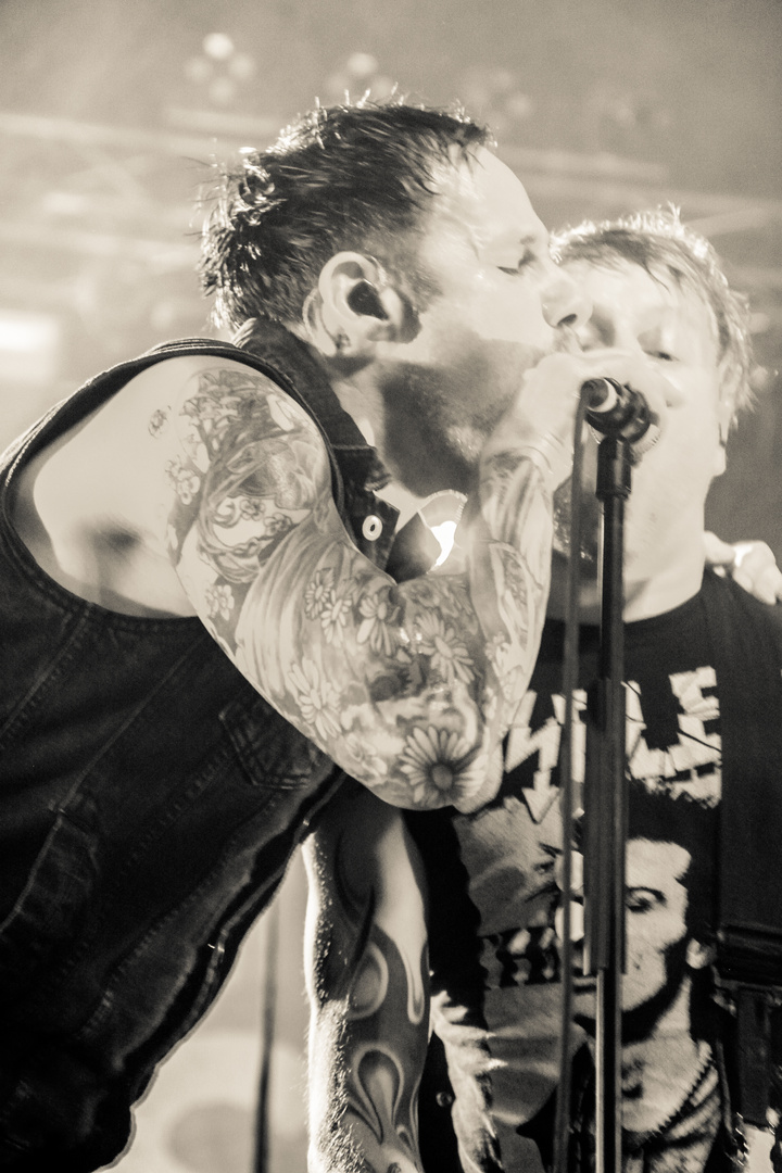 Donots II