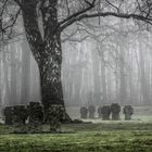 Donsbrüggen Ehrenfriedhof