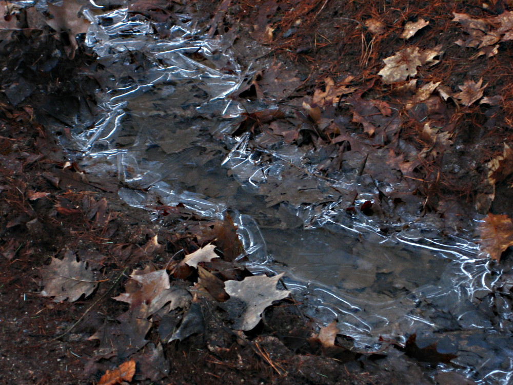 Don't be surprised when a crack in the ice Appears under your feet.