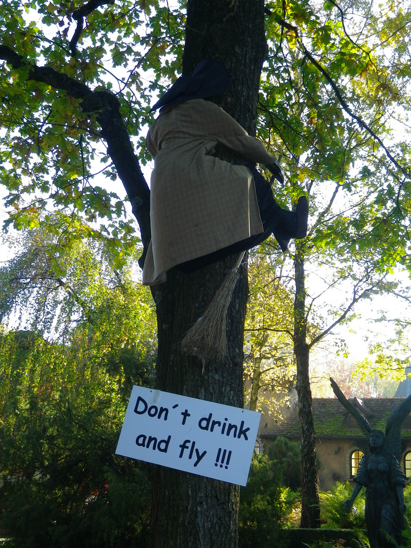 Don´t drink and fly