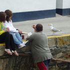 don´t feed the seagulls - hope they can´t read...