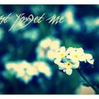 don`t forget me