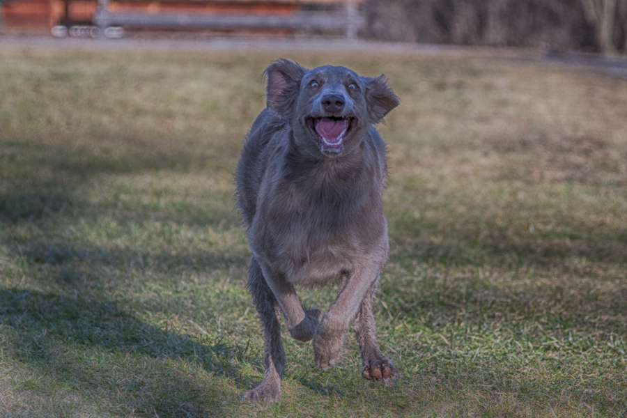 DON'T I LOOK FEROCIOUS?