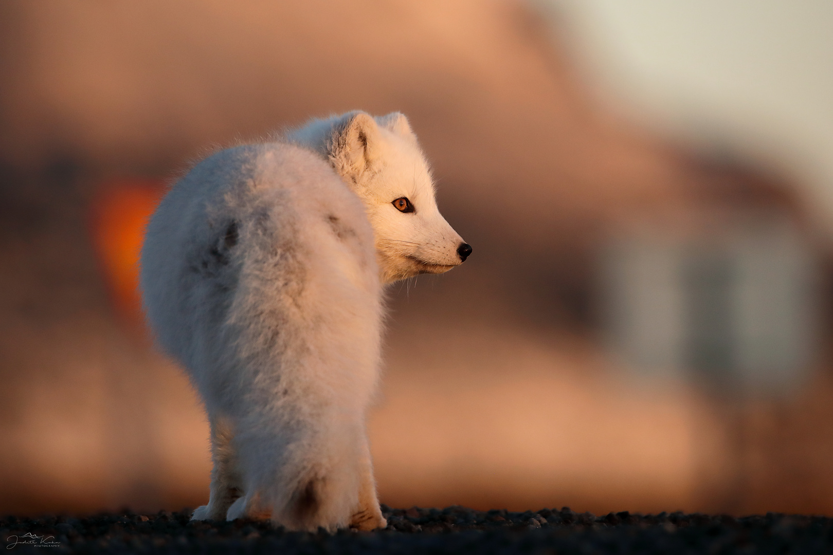 don't look back in anger