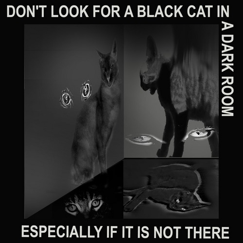 Don't look for a black cat in a dark room, especially if it is not there