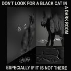 Don't look for a black cat in a dark room, especially if it is not there