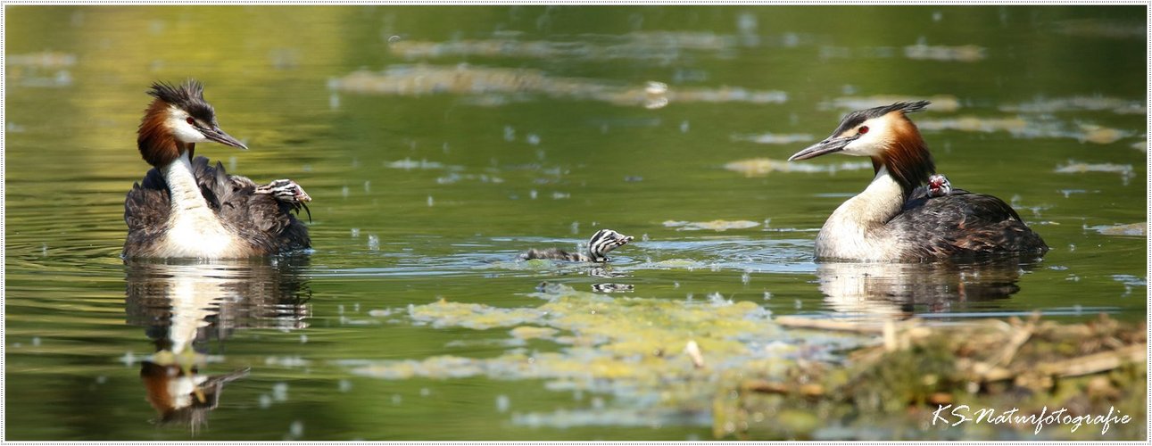 "Don´t pay the ferryman ..." ;-)))