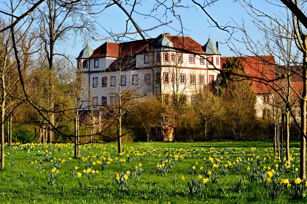 Donzdorfer Schloss....