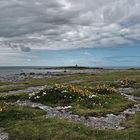 Doolin harbor