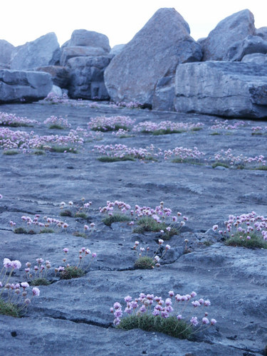 Doolin pier