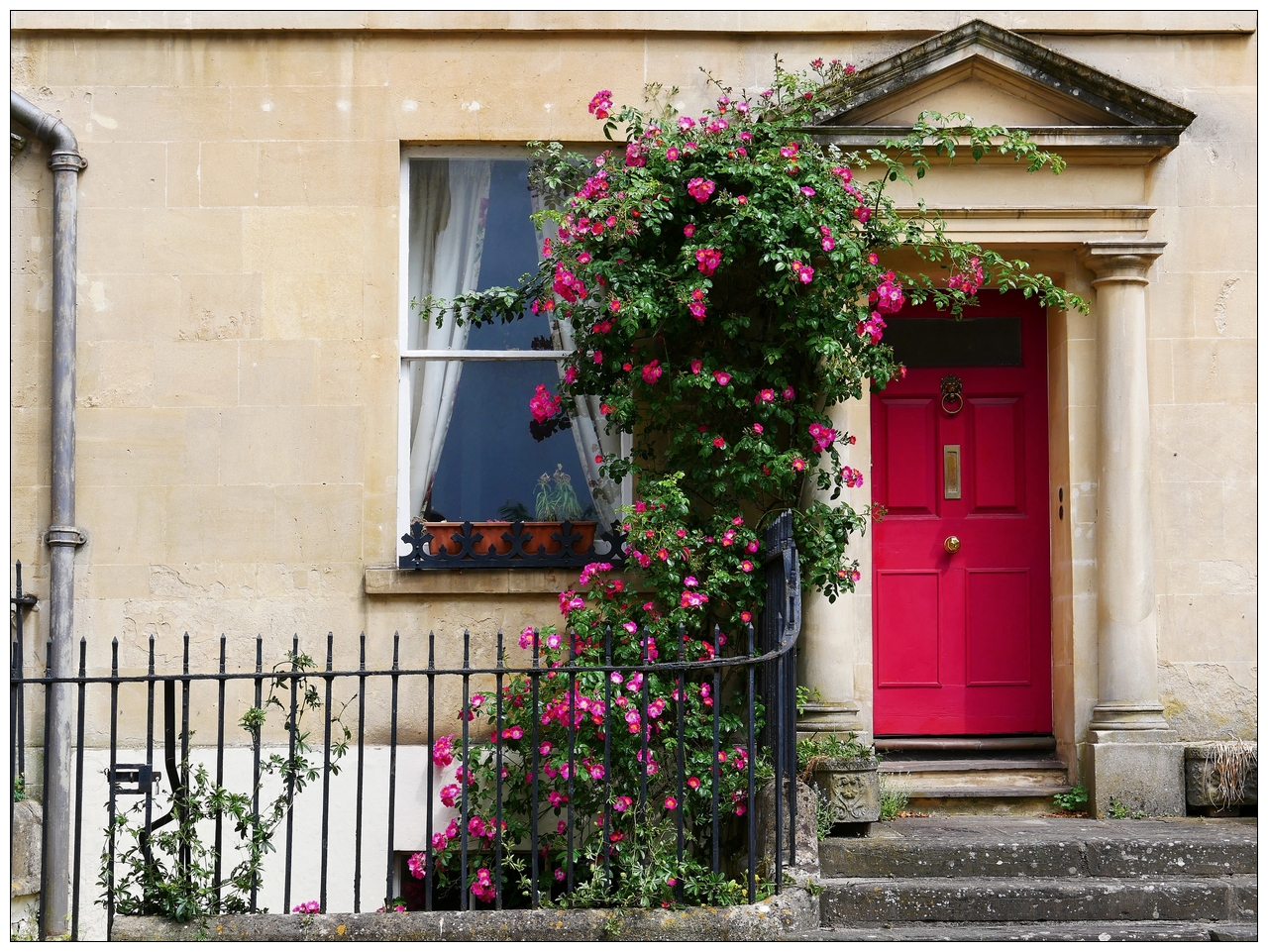 Door and roses