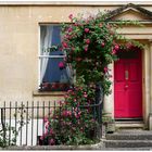 Door and roses