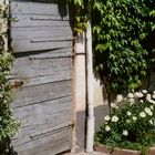 Door in the Garden