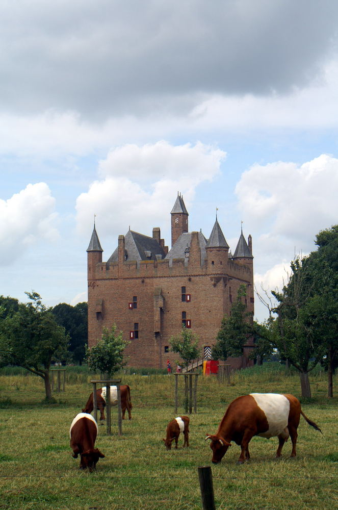 Doornenburg castle