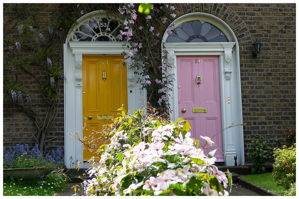 Doors & Flowers