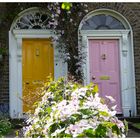 Doors & Flowers