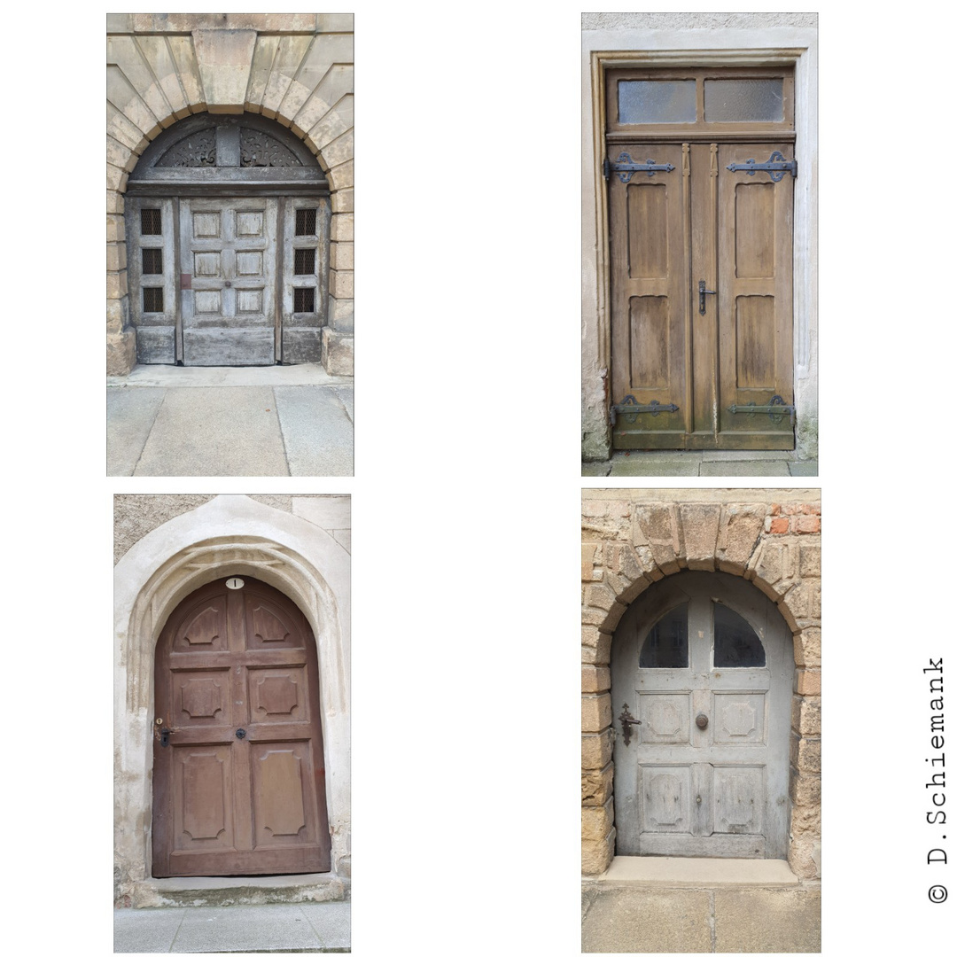 Doors of Altenburg 