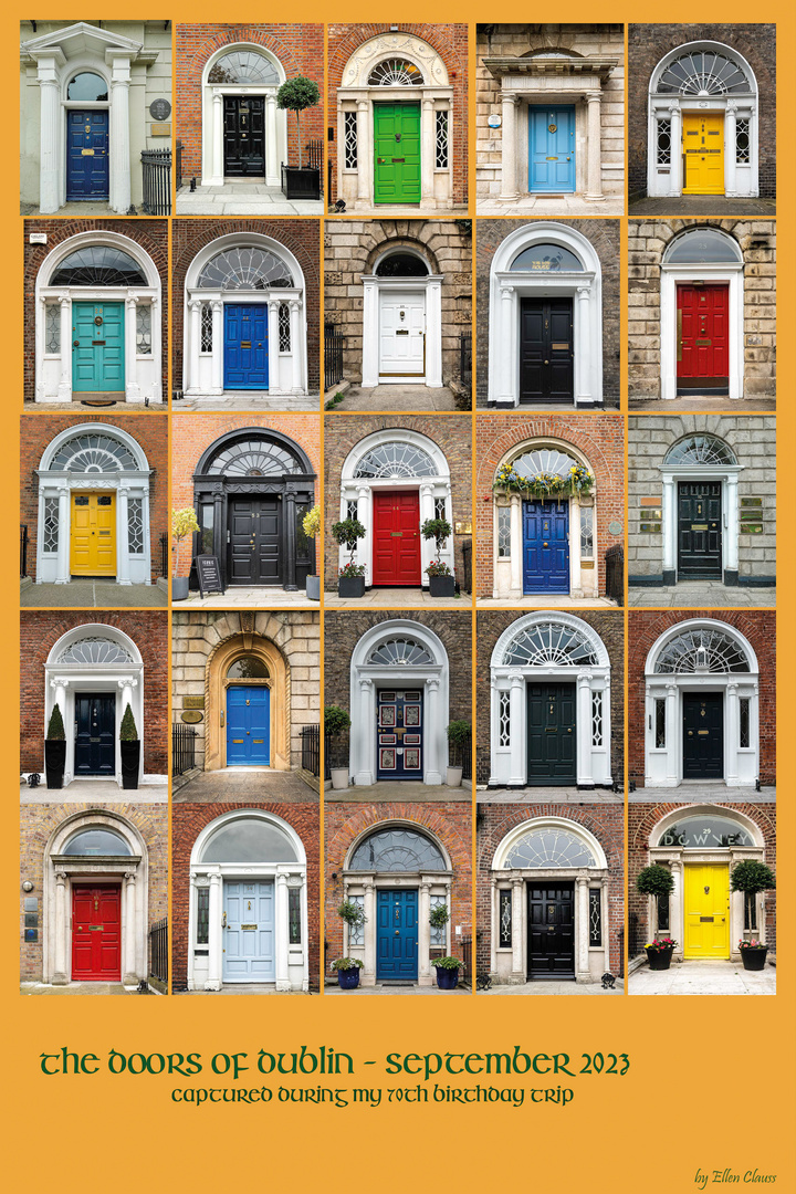 Doors of Dublin 